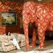 Elephant in Living Room